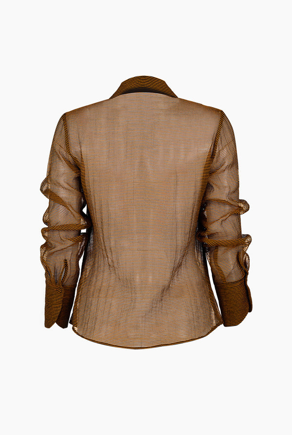 Blusa camisera y manga larga