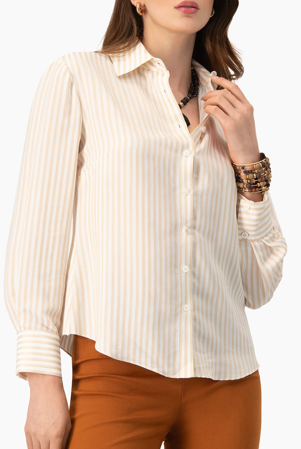 Camisa clasica rayada